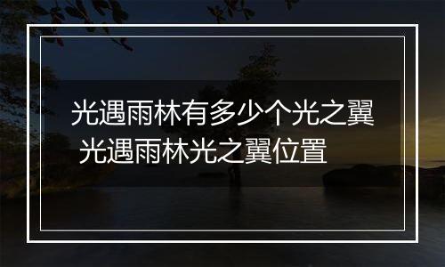 光遇雨林有多少个光之翼 光遇雨林光之翼位置