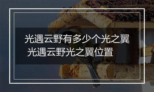 光遇云野有多少个光之翼 光遇云野光之翼位置