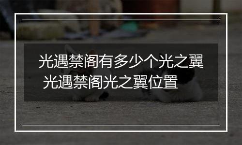 光遇禁阁有多少个光之翼 光遇禁阁光之翼位置