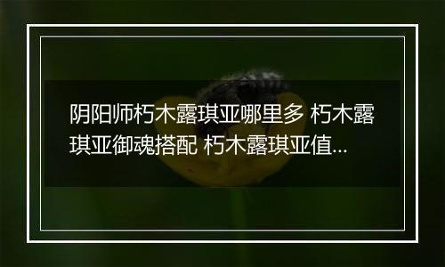 阴阳师朽木露琪亚哪里多 朽木露琪亚御魂搭配 朽木露琪亚值得培养吗