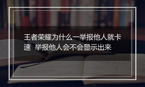 王者荣耀为什么一举报他人就卡速  举报他人会不会显示出来