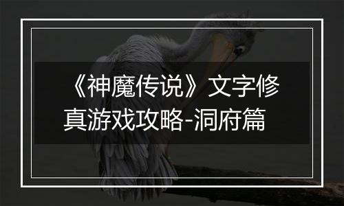 《神魔传说》文字修真游戏攻略-洞府篇