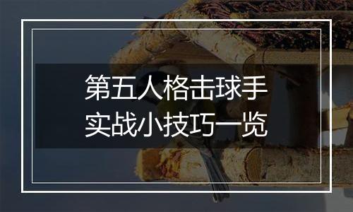 第五人格击球手实战小技巧一览