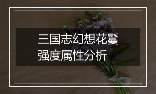三国志幻想花鬘强度属性分析