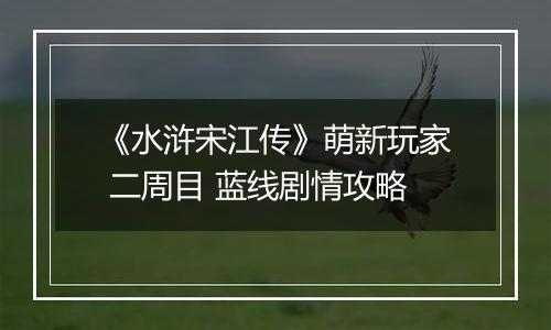 《水浒宋江传》萌新玩家 二周目 蓝线剧情攻略