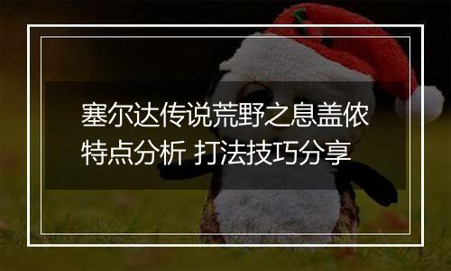 塞尔达传说荒野之息盖侬特点分析 打法技巧分享