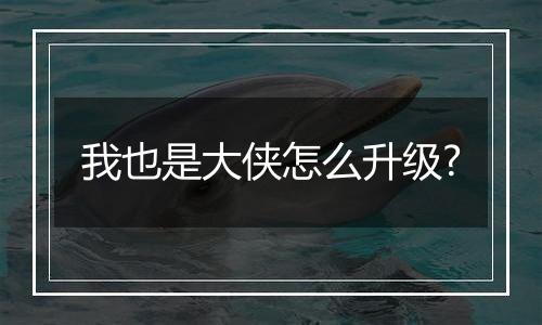 我也是大侠怎么升级?