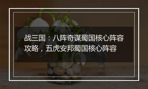 战三国：八阵奇谋蜀国核心阵容攻略，五虎安邦蜀国核心阵容