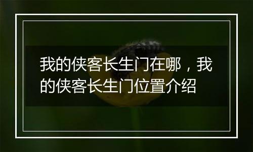 我的侠客长生门在哪，我的侠客长生门位置介绍