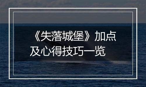 《失落城堡》加点及心得技巧一览