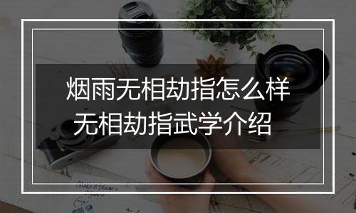 烟雨无相劫指怎么样 无相劫指武学介绍