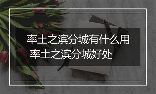率土之滨分城有什么用 率土之滨分城好处