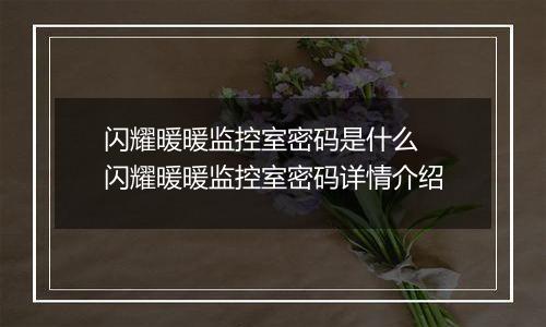 闪耀暖暖监控室密码是什么  闪耀暖暖监控室密码详情介绍