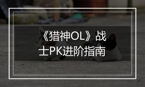 《猎神OL》战士PK进阶指南