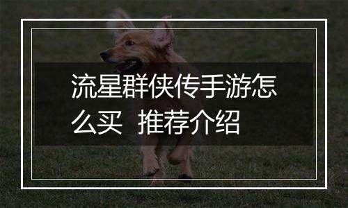 流星群侠传手游怎么买  推荐介绍