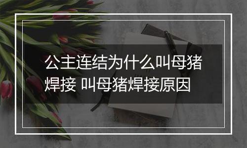 公主连结为什么叫母猪焊接 叫母猪焊接原因