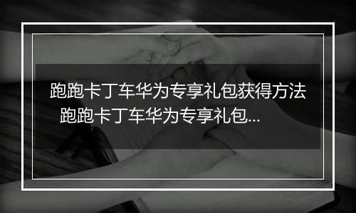 跑跑卡丁车华为专享礼包获得方法  跑跑卡丁车华为专享礼包怎么获得