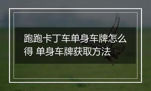 跑跑卡丁车单身车牌怎么得 单身车牌获取方法