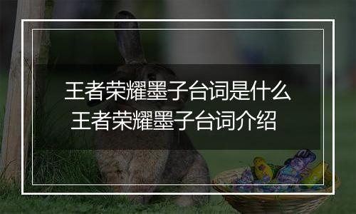 王者荣耀墨子台词是什么 王者荣耀墨子台词介绍