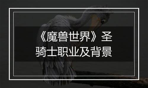 《魔兽世界》圣骑士职业及背景