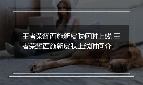 王者荣耀西施新皮肤何时上线 王者荣耀西施新皮肤上线时间介绍