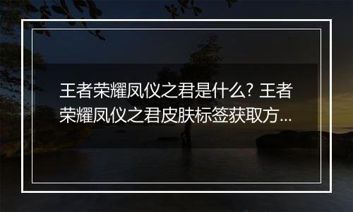 王者荣耀凤仪之君是什么? 王者荣耀凤仪之君皮肤标签获取方法
