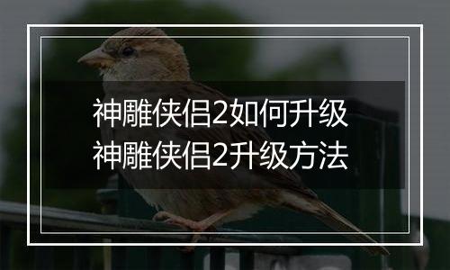 神雕侠侣2如何升级 神雕侠侣2升级方法