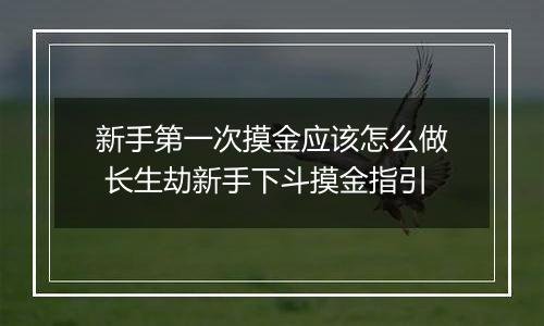 新手第一次摸金应该怎么做 长生劫新手下斗摸金指引