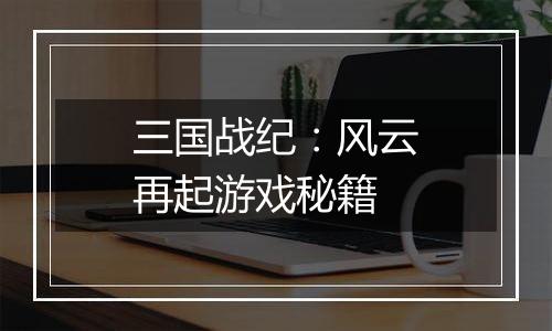 三国战纪：风云再起游戏秘籍