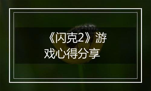 《闪克2》游戏心得分享