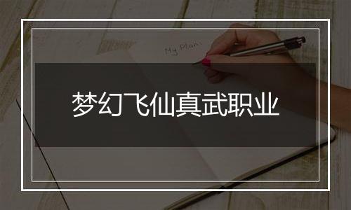梦幻飞仙真武职业