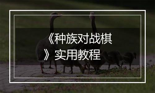 《种族对战棋》实用教程