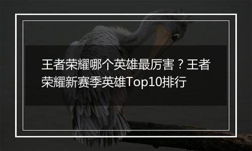 王者荣耀哪个英雄最厉害？王者荣耀新赛季英雄Top10排行