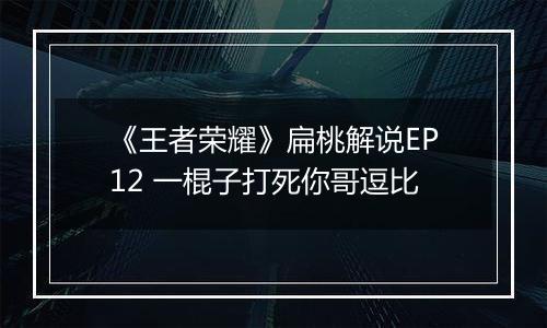 《王者荣耀》扁桃解说EP12 一棍子打死你哥逗比