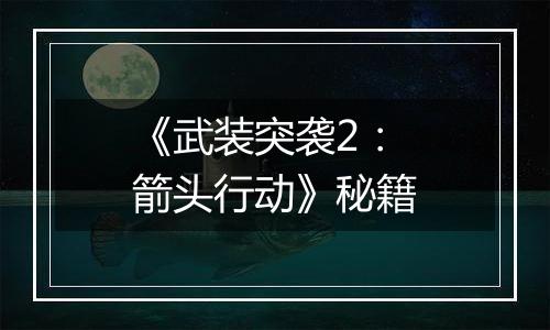《武装突袭2：箭头行动》秘籍