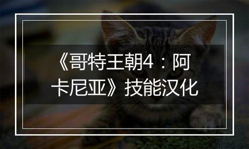 《哥特王朝4：阿卡尼亚》技能汉化