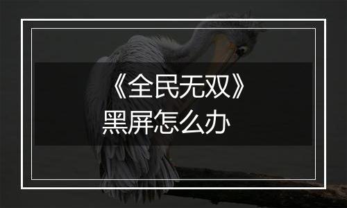 《全民无双》黑屏怎么办