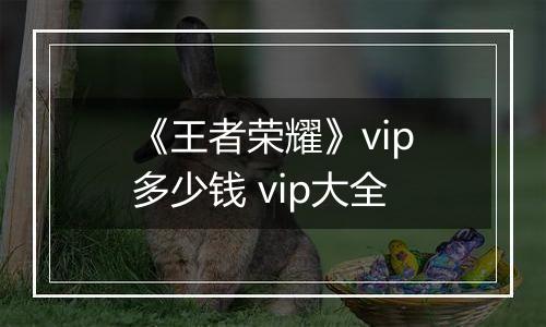 《王者荣耀》vip多少钱 vip大全