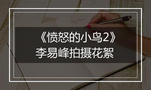 《愤怒的小鸟2》李易峰拍摄花絮