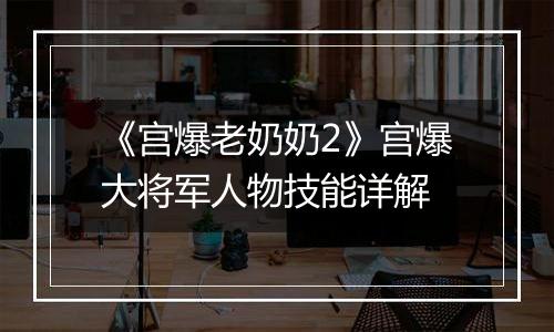 《宫爆老奶奶2》宫爆大将军人物技能详解