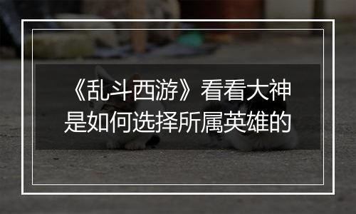 《乱斗西游》看看大神是如何选择所属英雄的