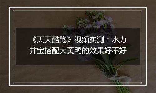 《天天酷跑》视频实测：水力井宝搭配大黄鸭的效果好不好