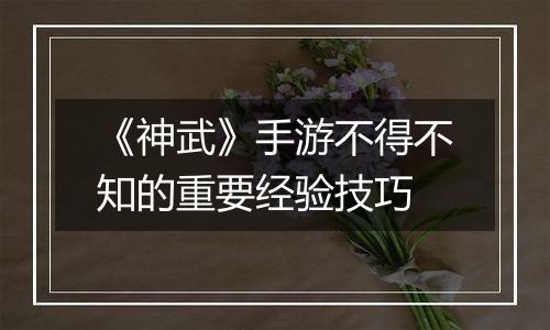 《神武》手游不得不知的重要经验技巧