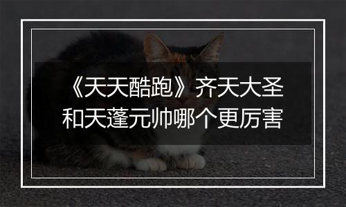 《天天酷跑》齐天大圣和天蓬元帅哪个更厉害