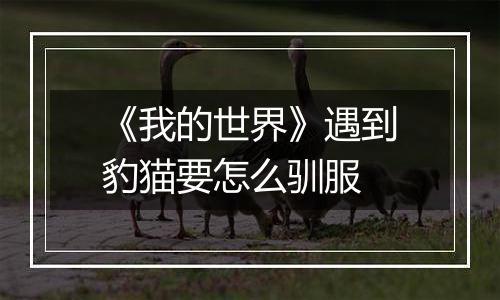 《我的世界》遇到豹猫要怎么驯服