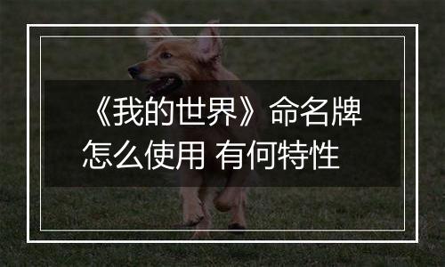 《我的世界》命名牌怎么使用 有何特性
