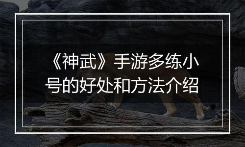《神武》手游多练小号的好处和方法介绍
