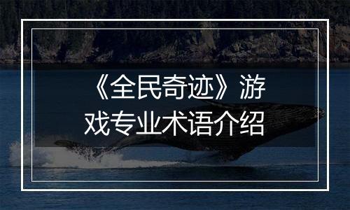 《全民奇迹》游戏专业术语介绍