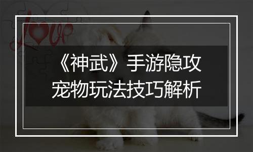 《神武》手游隐攻宠物玩法技巧解析
