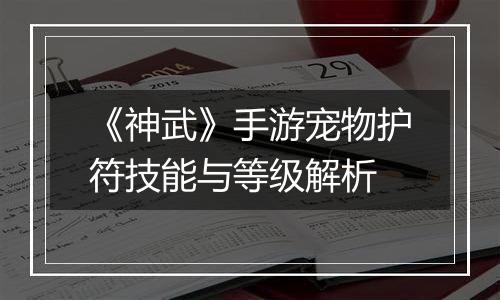 《神武》手游宠物护符技能与等级解析